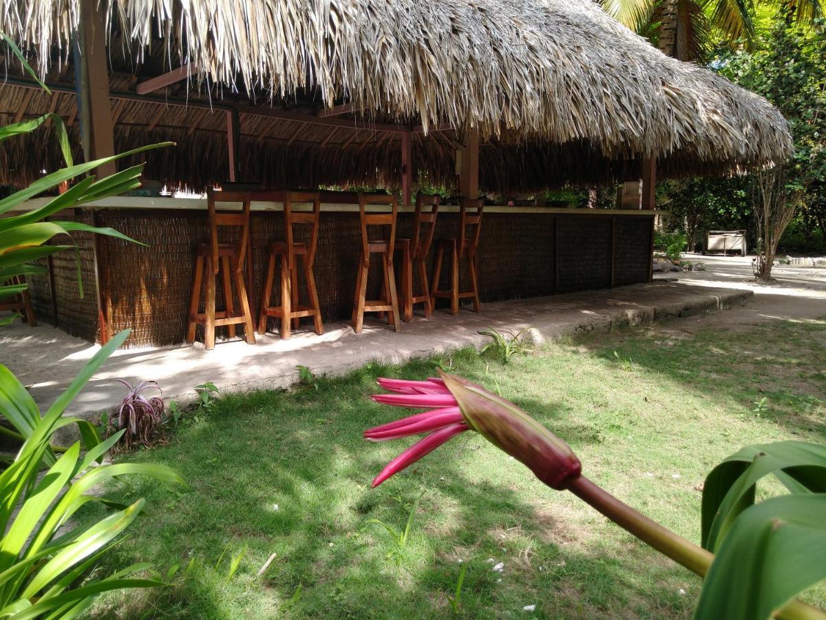 Eco Hotel Las Palmeras Isla Grande  Exterior photo