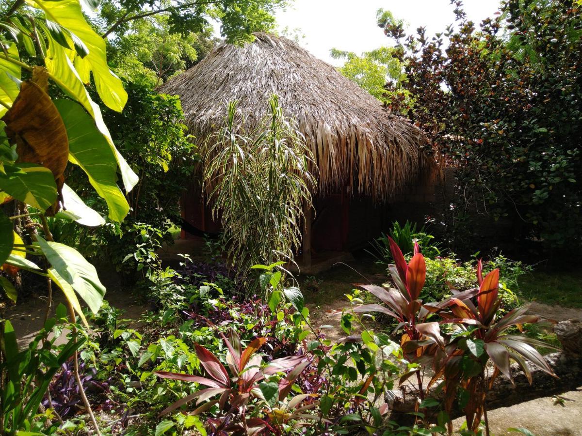 Eco Hotel Las Palmeras Isla Grande  Exterior photo