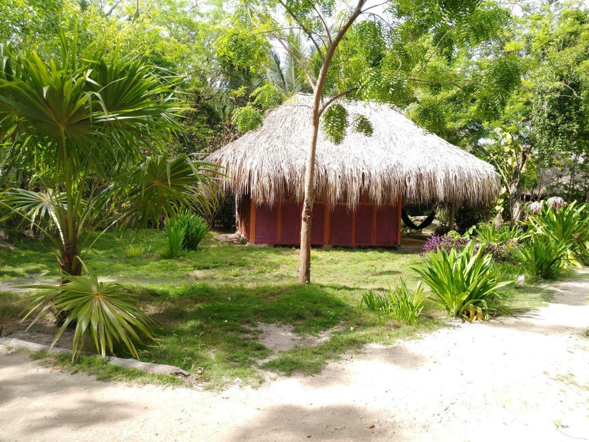 Eco Hotel Las Palmeras Isla Grande  Exterior photo