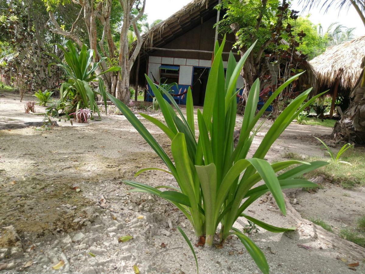 Eco Hotel Las Palmeras Isla Grande  Exterior photo